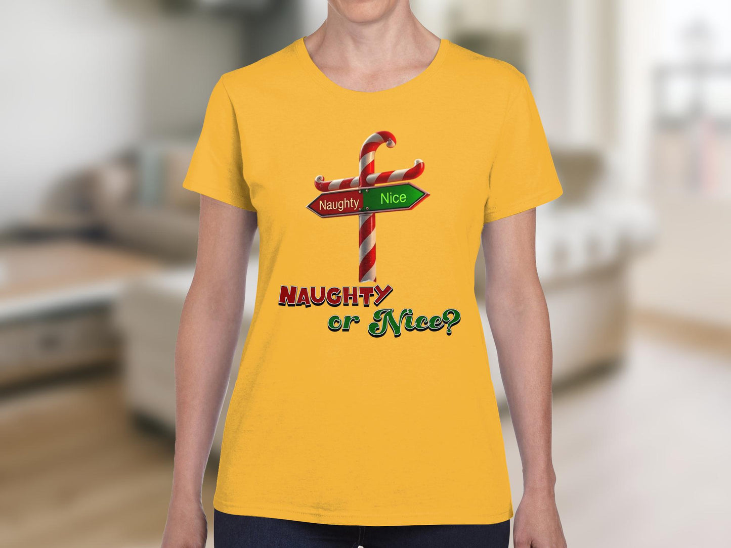 Naughty or Nice Christmas T-Shirt, Adult Festive wear