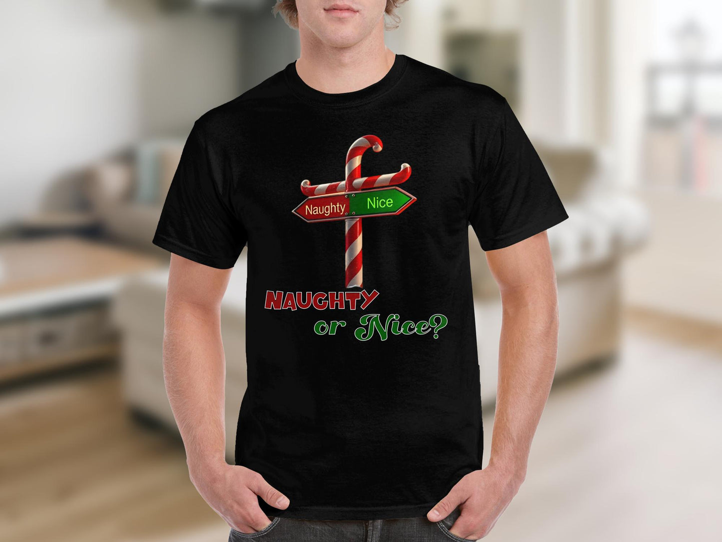 Naughty or Nice Christmas T-Shirt, Adult Festive wear