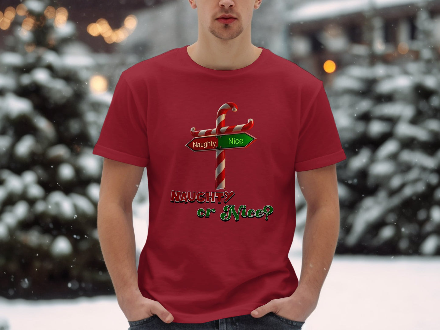 Naughty or Nice Christmas T-Shirt, Adult Festive wear